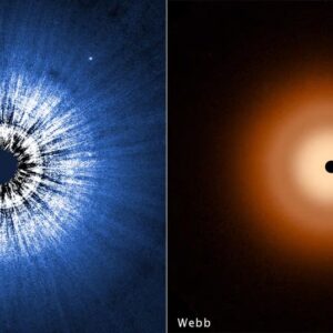 Image article James Webb et Hubble ne détectent aucune planète autour de Vega, et c’est un grand mystère scientifique