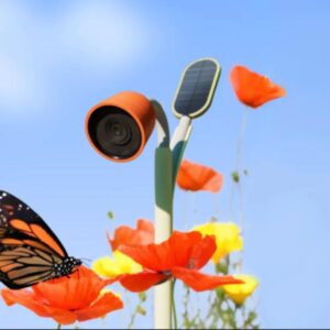 Image article [CES 2025] Petal : une caméra dopée à l’IA pour scruter les bestioles du jardin