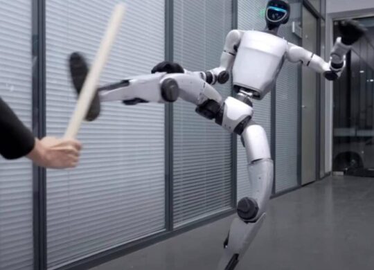 Unitree robot Kung Fu