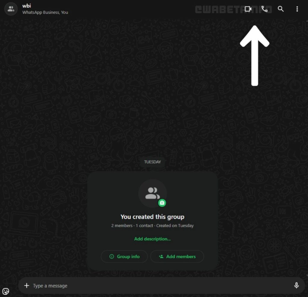 WhatsApp Web Appels