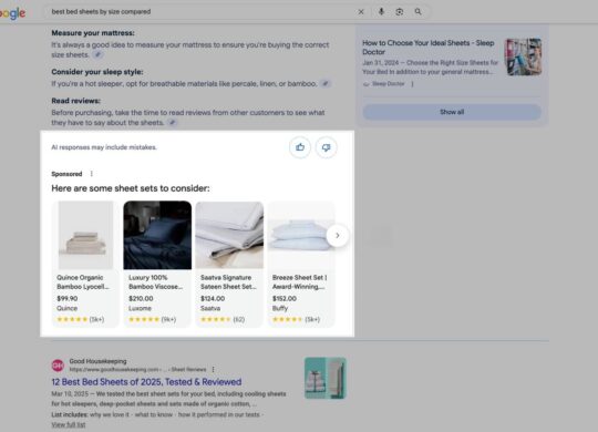 Google Publicites Recherche Apercus IA Overviews AI