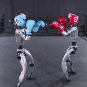 Image article Rigolo et impressionnant à la fois : des robots Unitree s’affrontent dans un combat de boxe