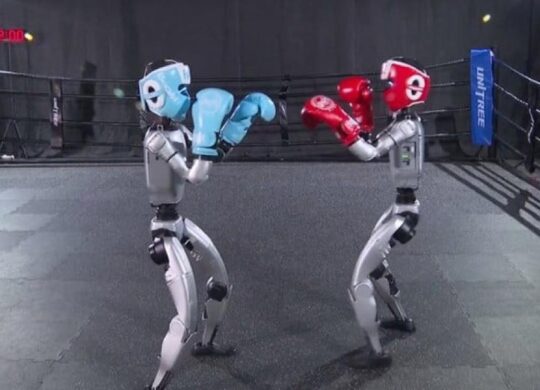 Unitree robot boxe