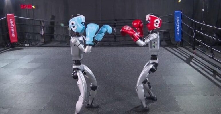 Unitree robot boxe