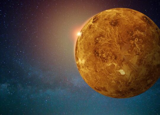 Venus