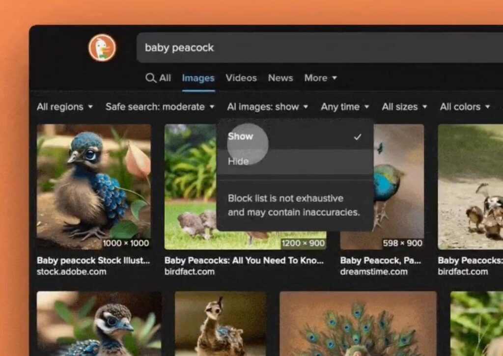 duckduckgo-ai-filter