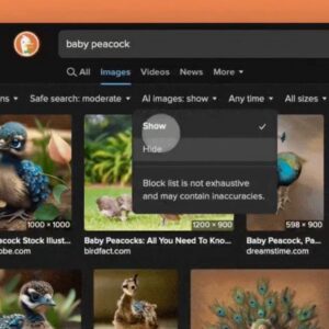 Image article Le navigateur DuckDuckGo peut désormais filtrer les image d’IA dans les résultats de recherche