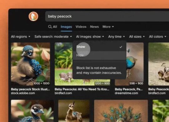 duckduckgo-ai-filter