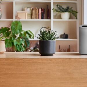 Image article Orange améliore son offre 5G+ fixe avec une Flybox Wi-Fi 7