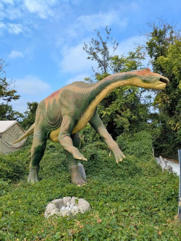 Dinos Animatroniques 