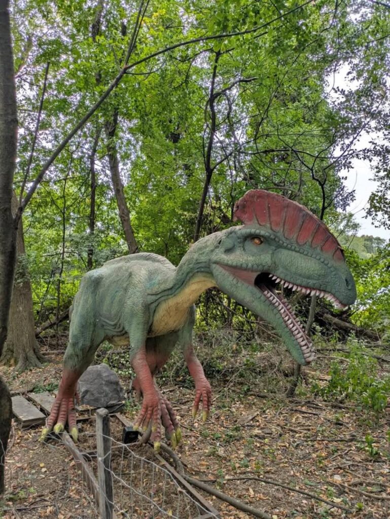 Dinos animatroniques 2