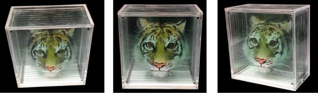 Hologramme art 2