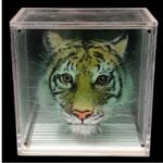 Hologramme art 2