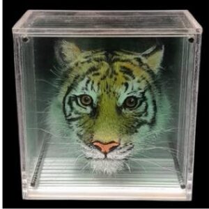 Image article Des chercheurs créent des hologrammes en couleur d’œuvres d’art