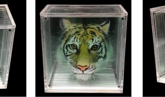 Hologramme art 2