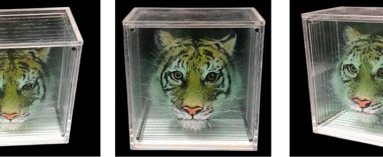 Hologramme art 2