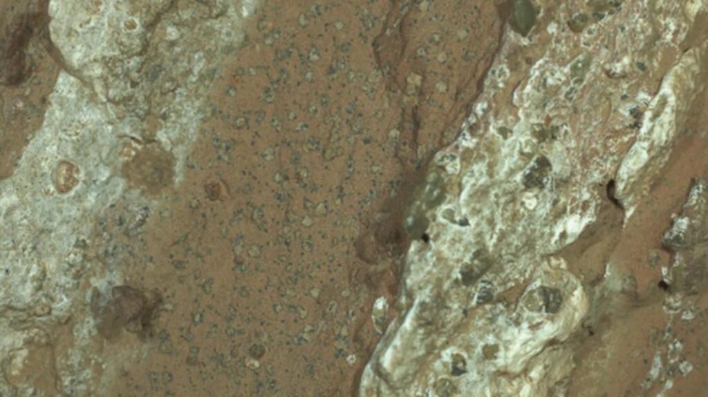 Mars Biosignatures 