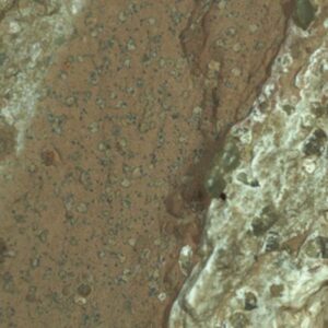 Image article Mars : un probable indice de vie découvert par la NASA