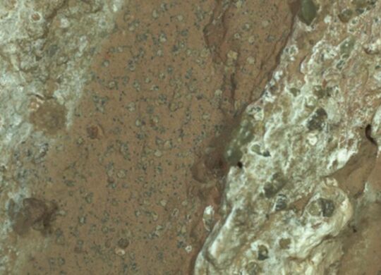 Mars biosignatures Mars biosignatures