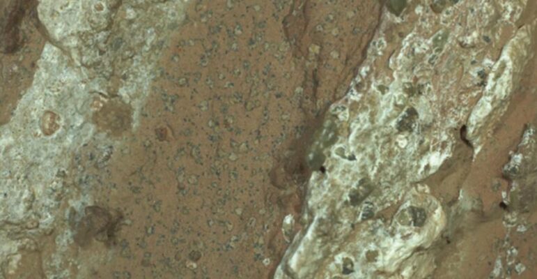 Mars biosignatures