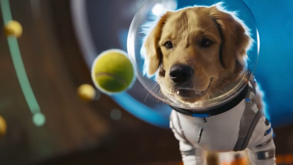Sora 2 Chien