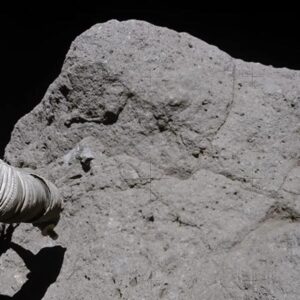 Image article Des échantillons lunaires d’Apollo 17 dévoilent des isotopes de soufre encore jamais vus sur Terre
