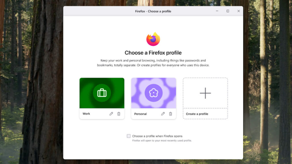 Firefox Gestionnaire Profils