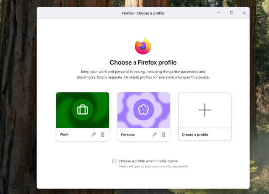 Firefox Gestionnaire Profils