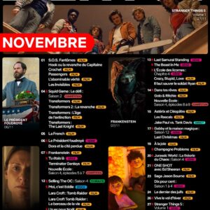 Image article Les films et séries qui arrivent sur Netflix en novembre 2025
