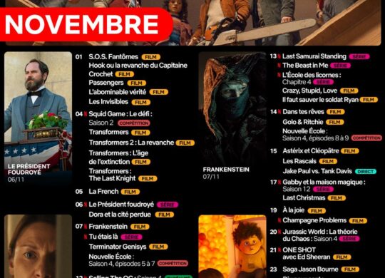 films et series netflix novembre 2026 films et series netflix novembre 2026