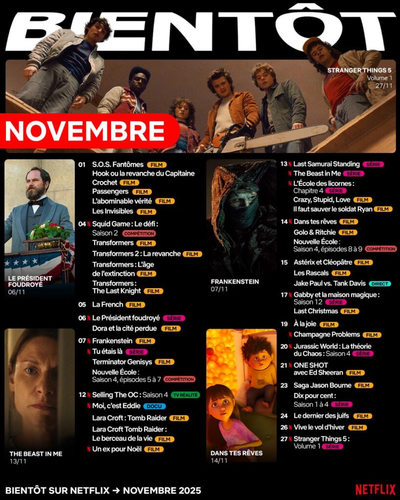 Films Et Series Netflix Novembre 2026