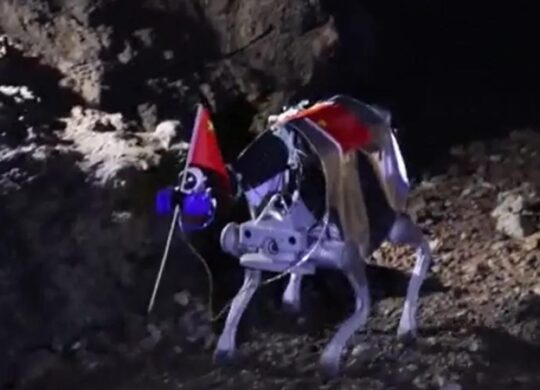 robotic-dogs 1