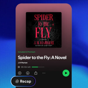 Image article Spotify dévoile une fonction IA pour résumer les livres audio