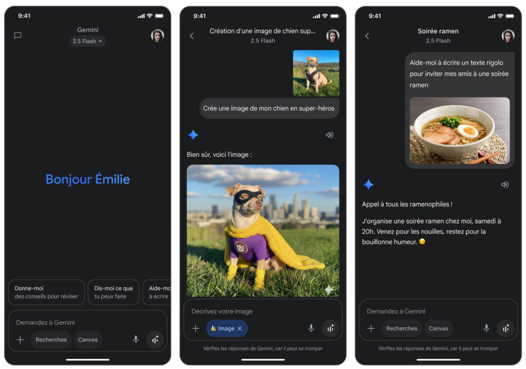 Google Gemini Application