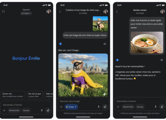 Google Gemini Application