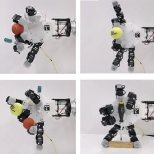 Image article Incroyable : cette main robotique détachable attrape trois objets à la fois… et se déplace toute seule
