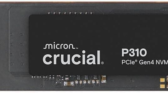 ssd interne crucial p310