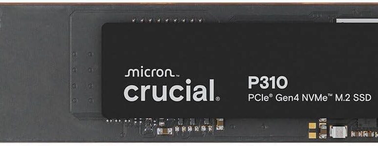 ssd interne crucial p310