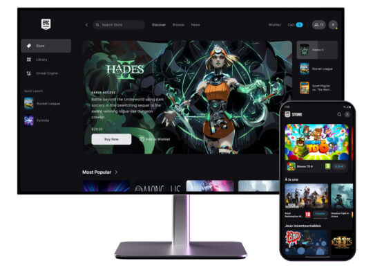 Epic Games Store Launcher