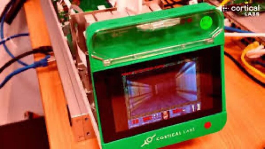 Doom 200 000 neurons