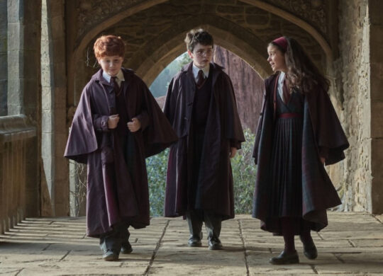 Serie Harry Potter Ron Harry Hermione