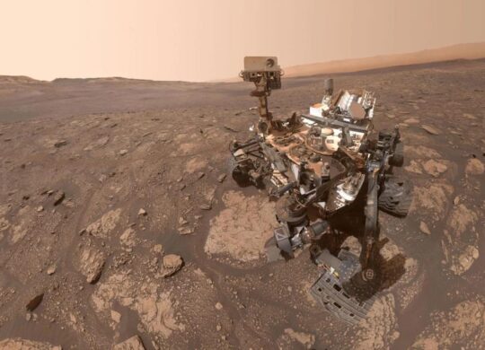 Curiosity Selfie