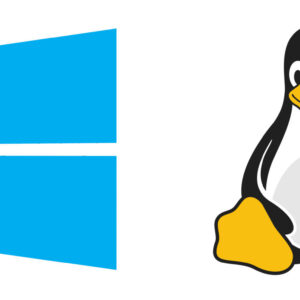 Image article L&rsquo;État français abandonne Windows pour passer sur Linux