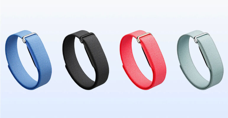 Fitbit Air