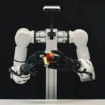 GENE-26.5