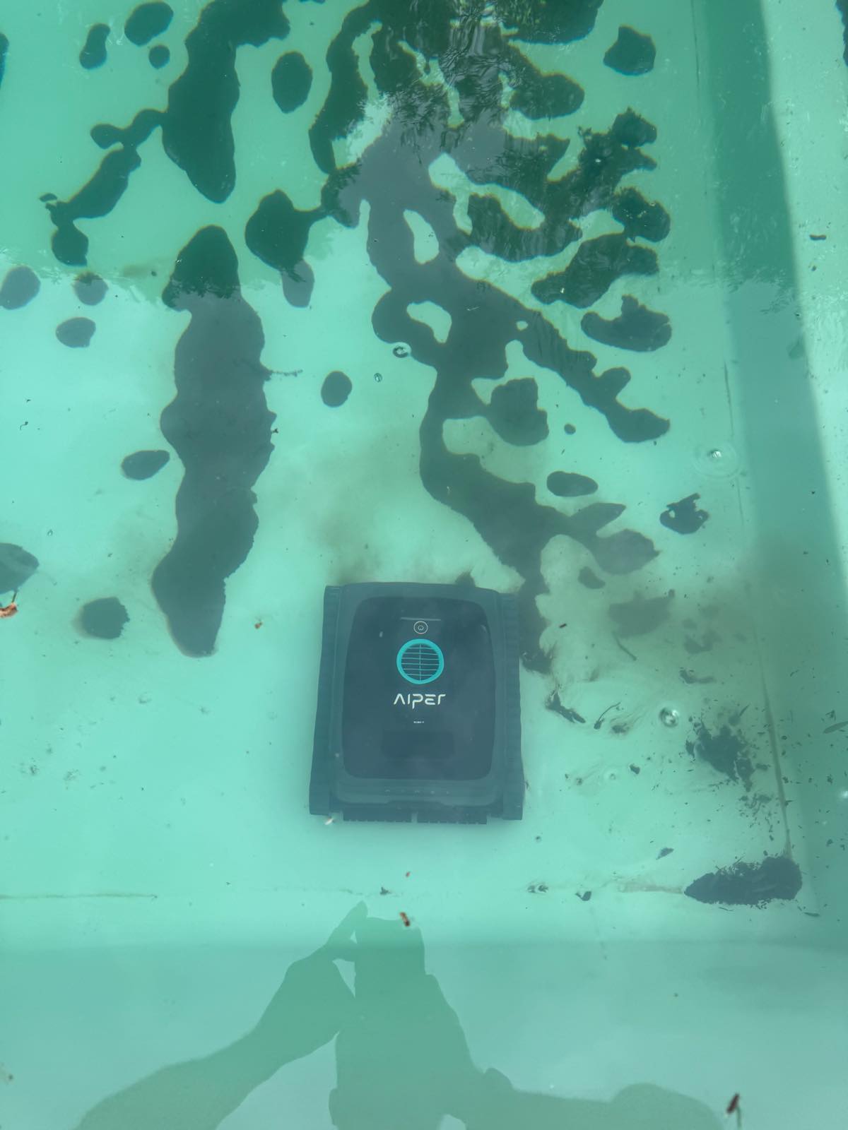 Scuba V3IMG 2512
