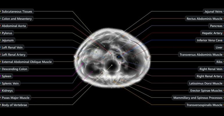 Midjourney scanner 1