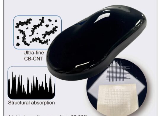 Nipsea-Ultra-Black-Carbon-Paint-Test