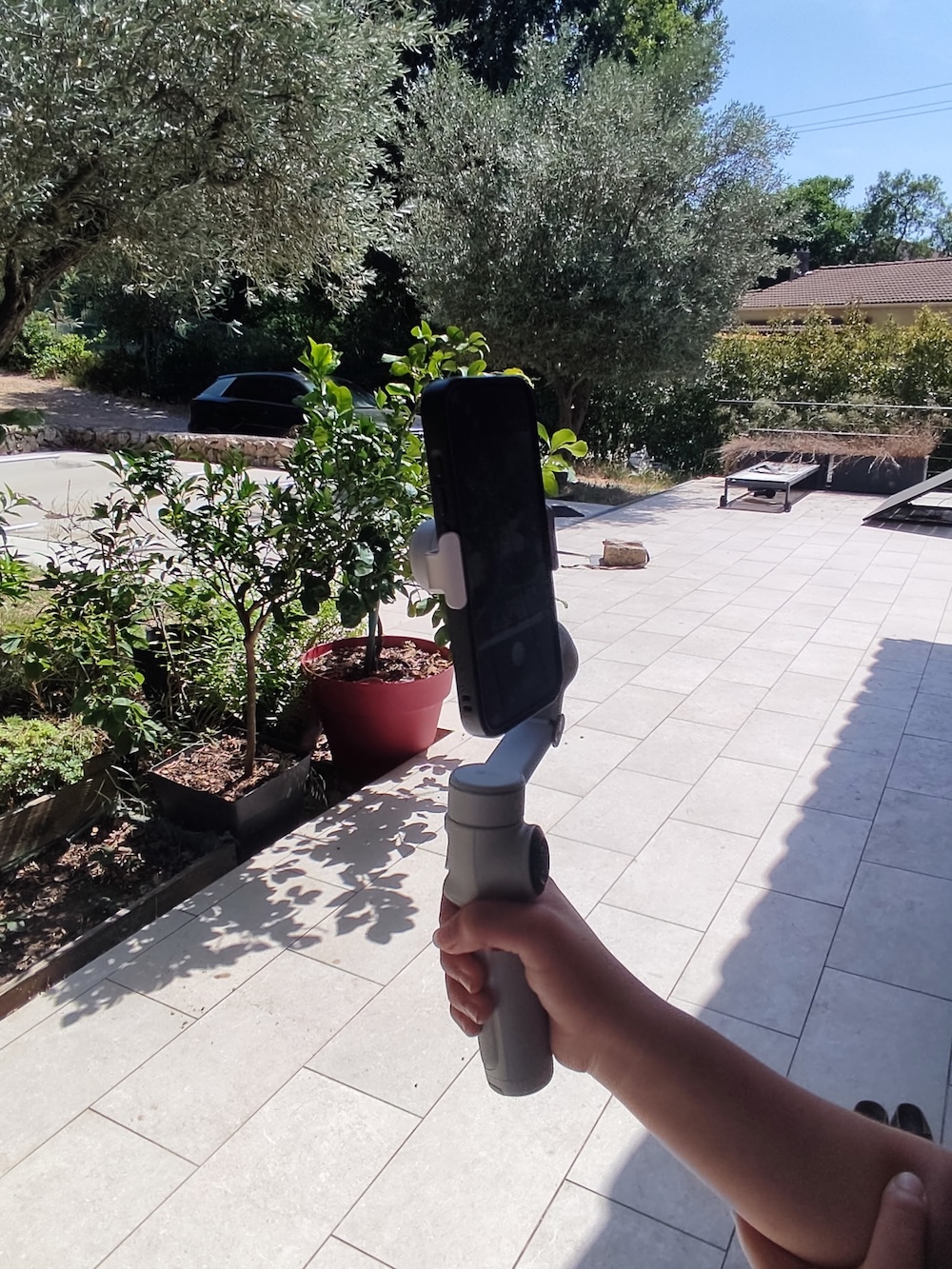 Insta360 Flow2 Pro Mode Paysage