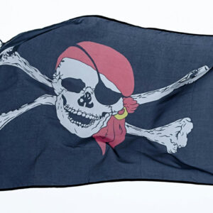 Image article Sites fermés et arrestations : la police s&rsquo;attaque au piratage de films/séries